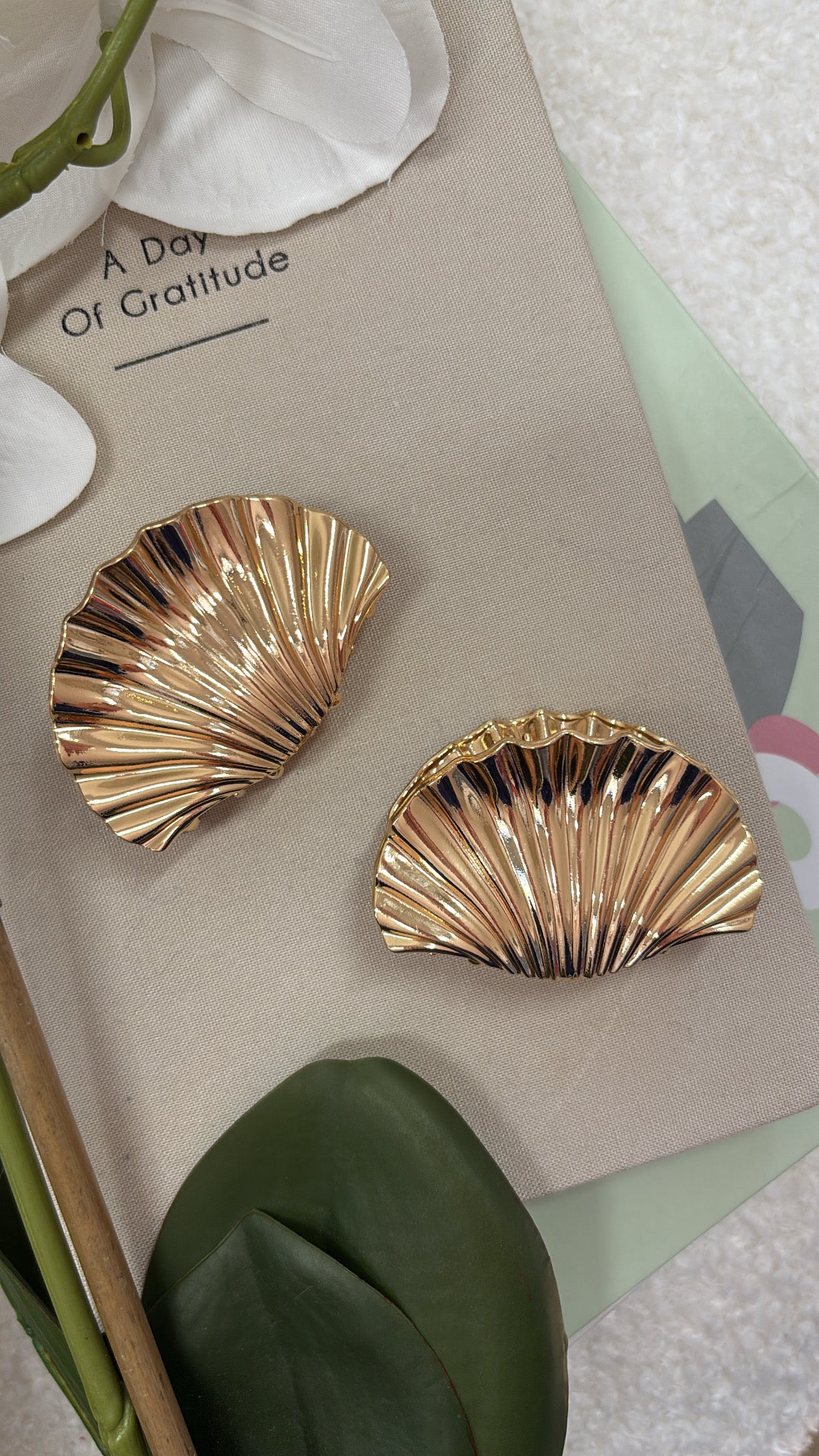 Pince pour cheveux COQUILLAGE