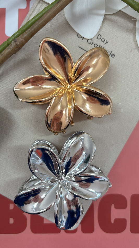 Pinces au choix SOFIA