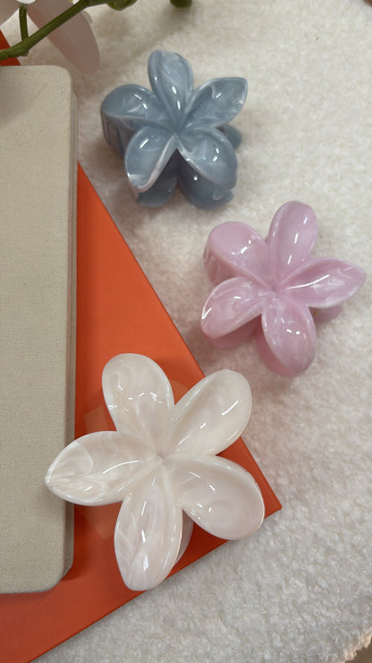 Pinces au choix COCO