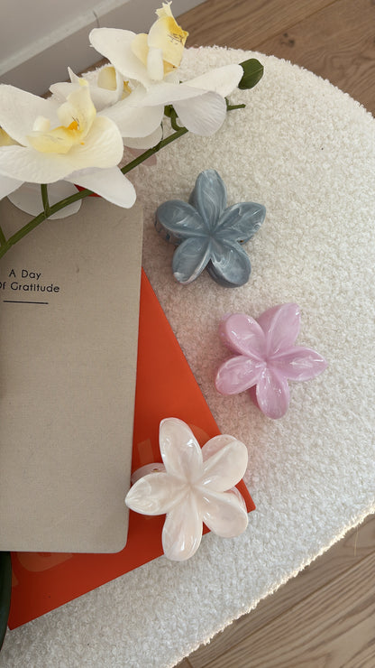 Pinces au choix COCO